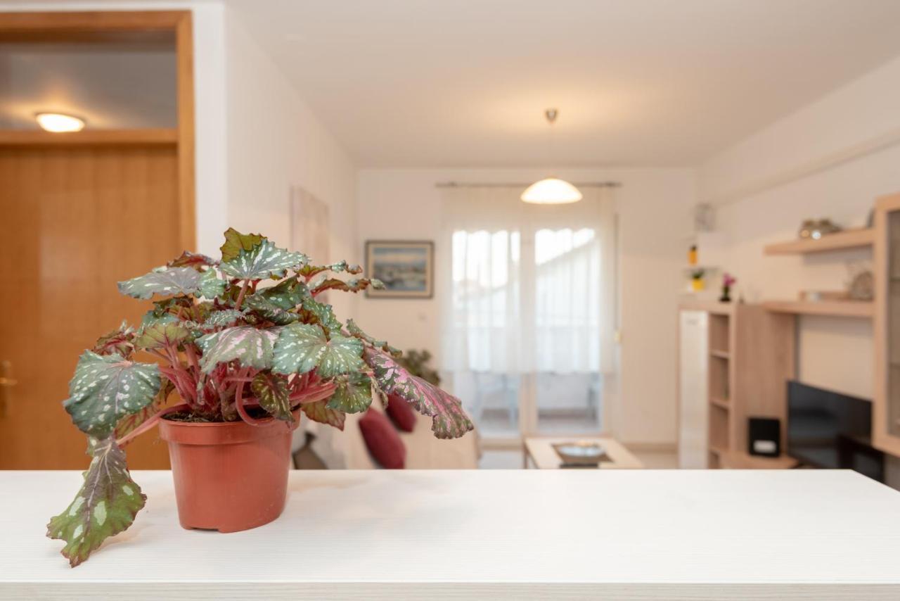 Apartman Valter Zadar Bagian luar foto